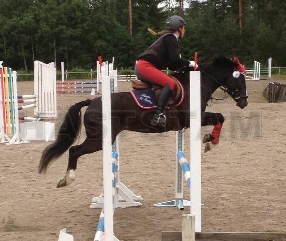 Profilbild