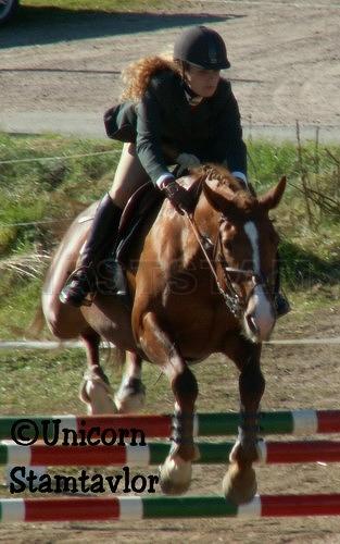 Profilbild