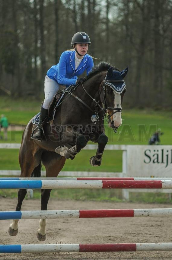 Profilbild