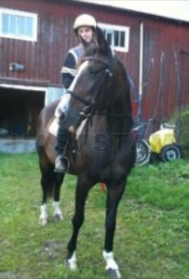 Profilbild