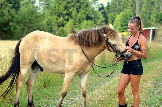 Profilbild