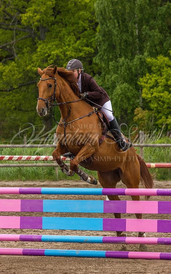 Profilbild