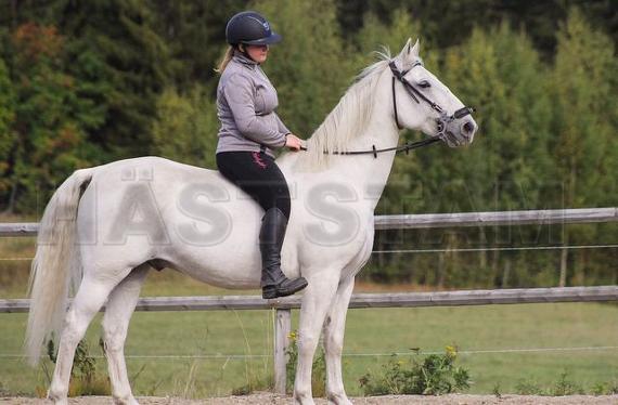 Profilbild
