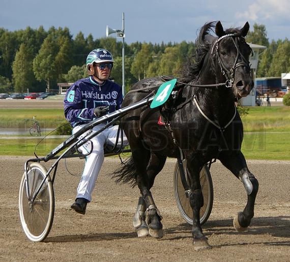 Profilbild