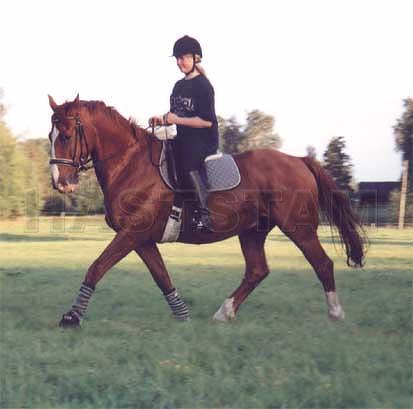Profilbild