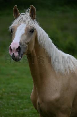 Profilbild