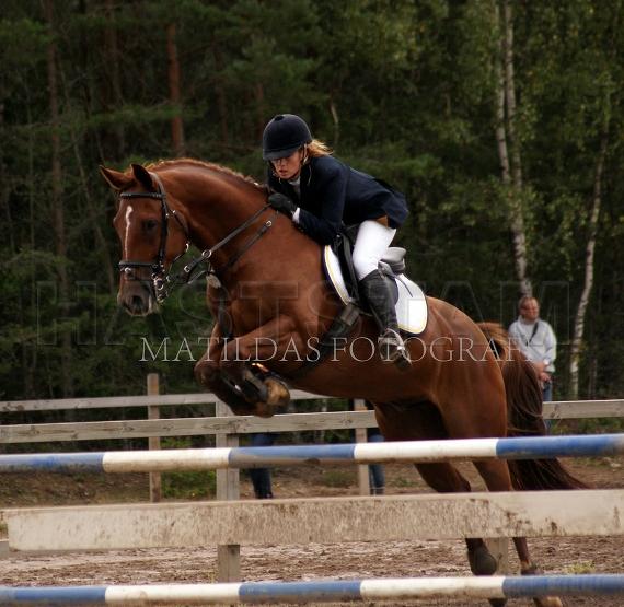 Profilbild