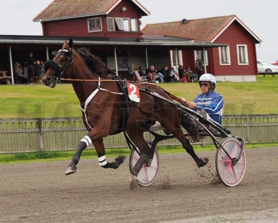 Profilbild