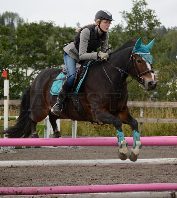 Profilbild