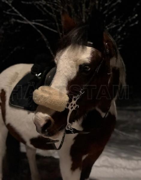 Profilbild