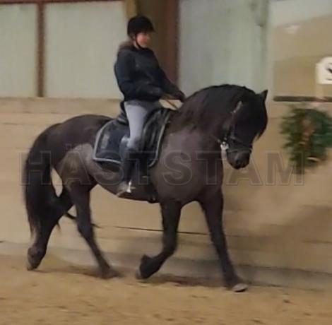 Profilbild