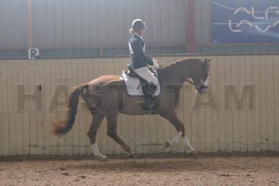 Profilbild
