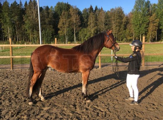 Profilbild