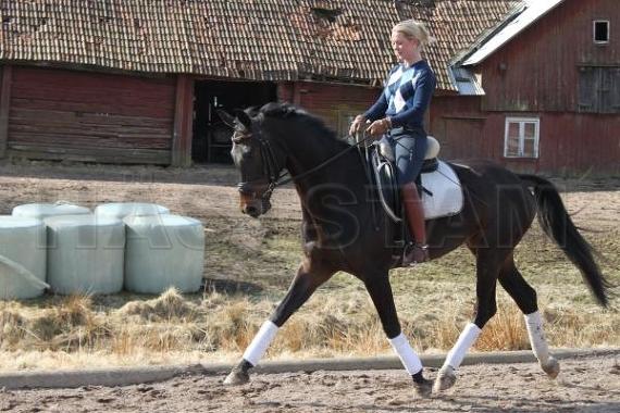 Profilbild