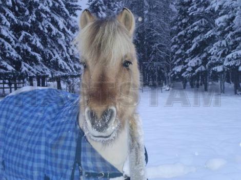 Profilbild