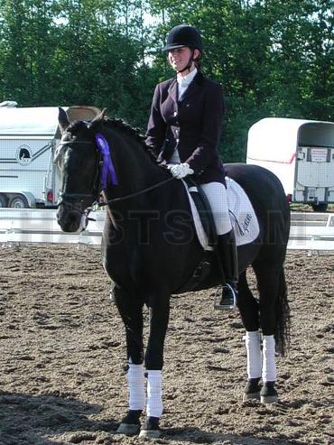 Profilbild