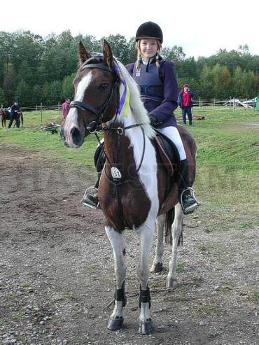 Profilbild