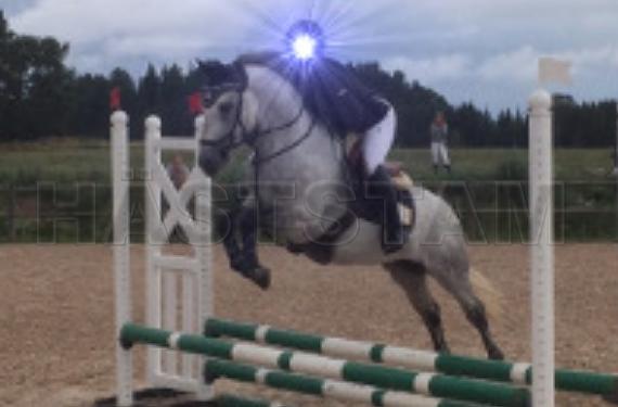 Profilbild