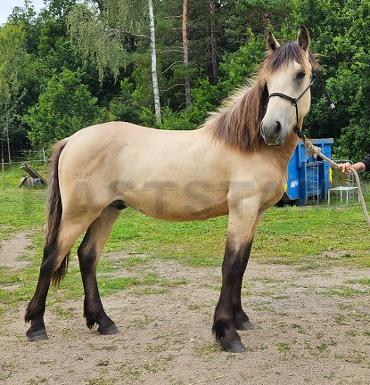 Profilbild