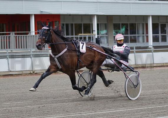 Profilbild