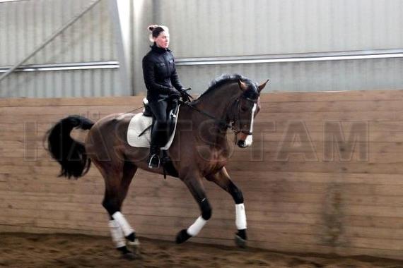 Profilbild