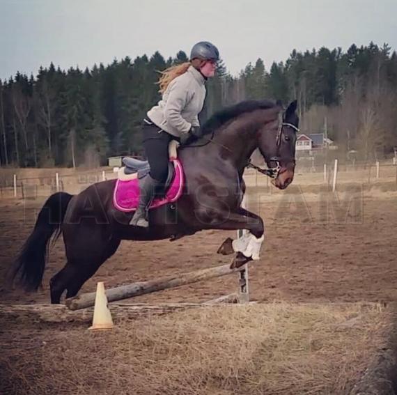 Profilbild