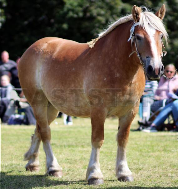 Profilbild