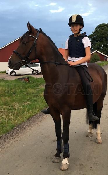 Profilbild