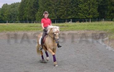 Profilbild