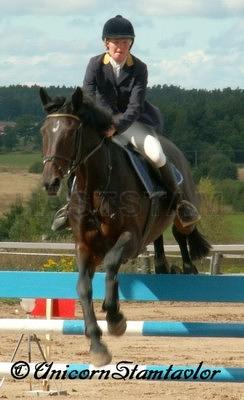 Profilbild