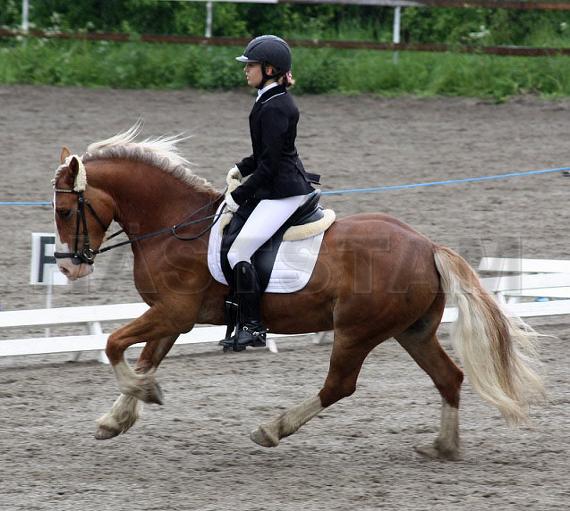 Profilbild