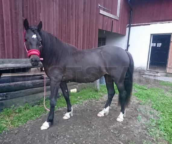Profilbild