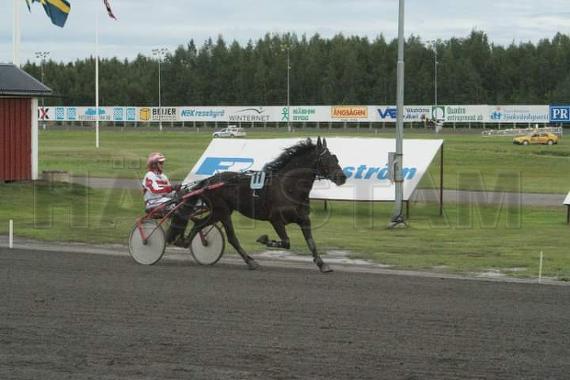 Profilbild