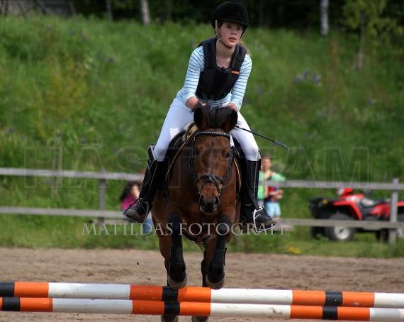 Profilbild