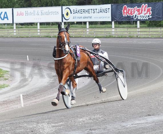 Profilbild