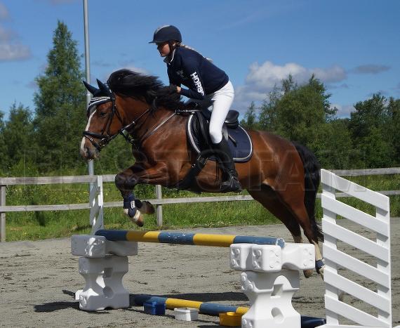 Profilbild