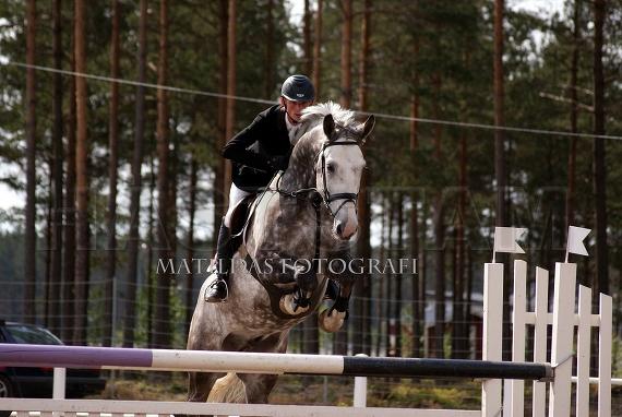 Profilbild