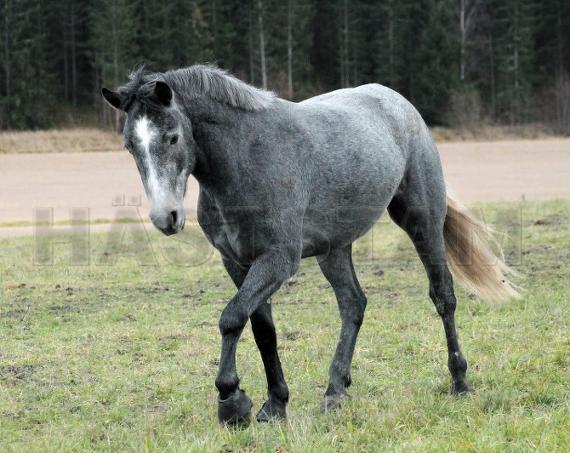 Profilbild