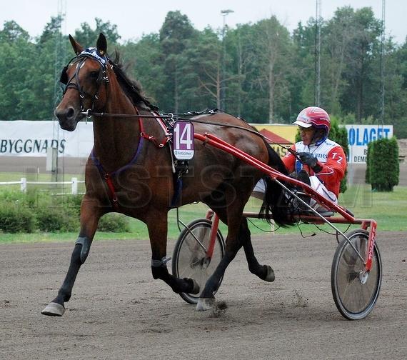 Profilbild