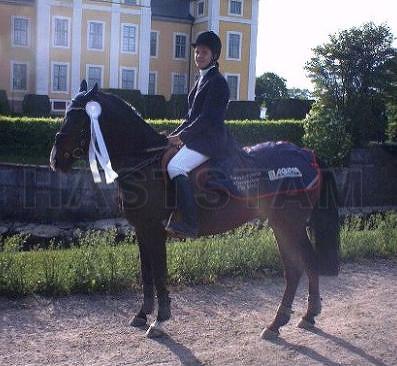 Profilbild