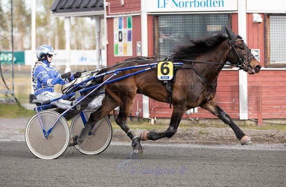 Profilbild