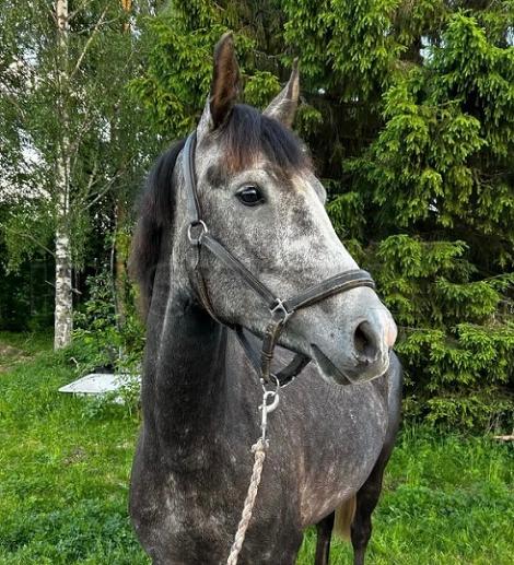 Profilbild