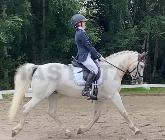 Profilbild