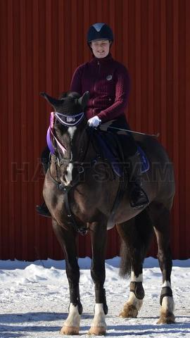 Profilbild