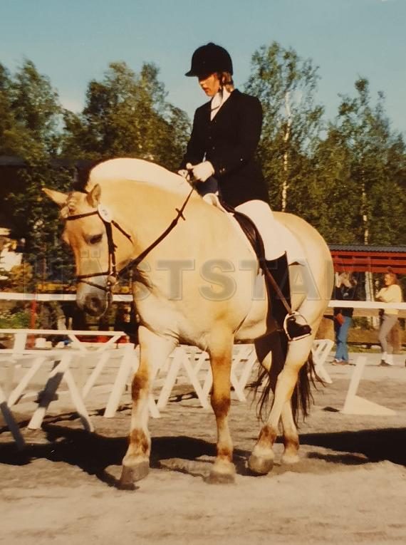 Profilbild