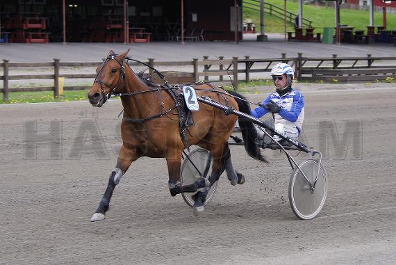 Profilbild