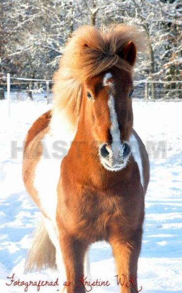 Profilbild