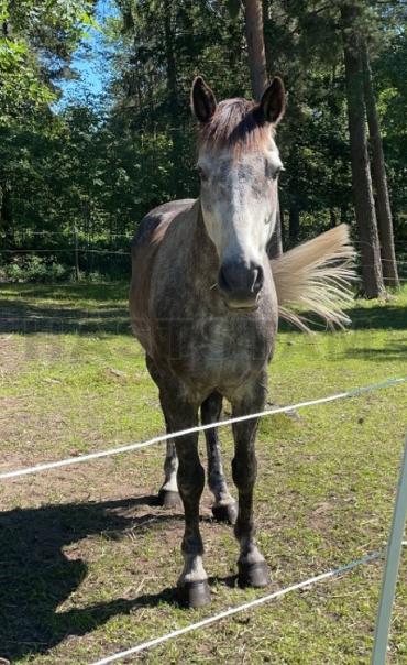 Profilbild