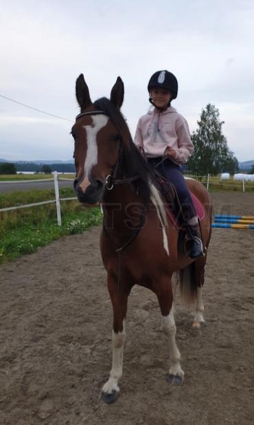 Profilbild