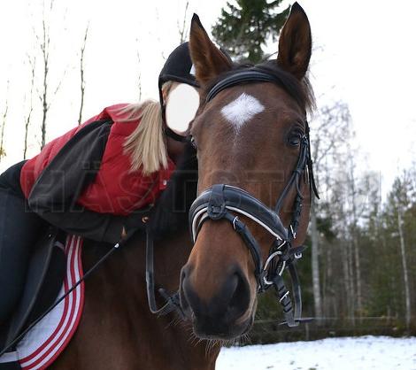 Profilbild